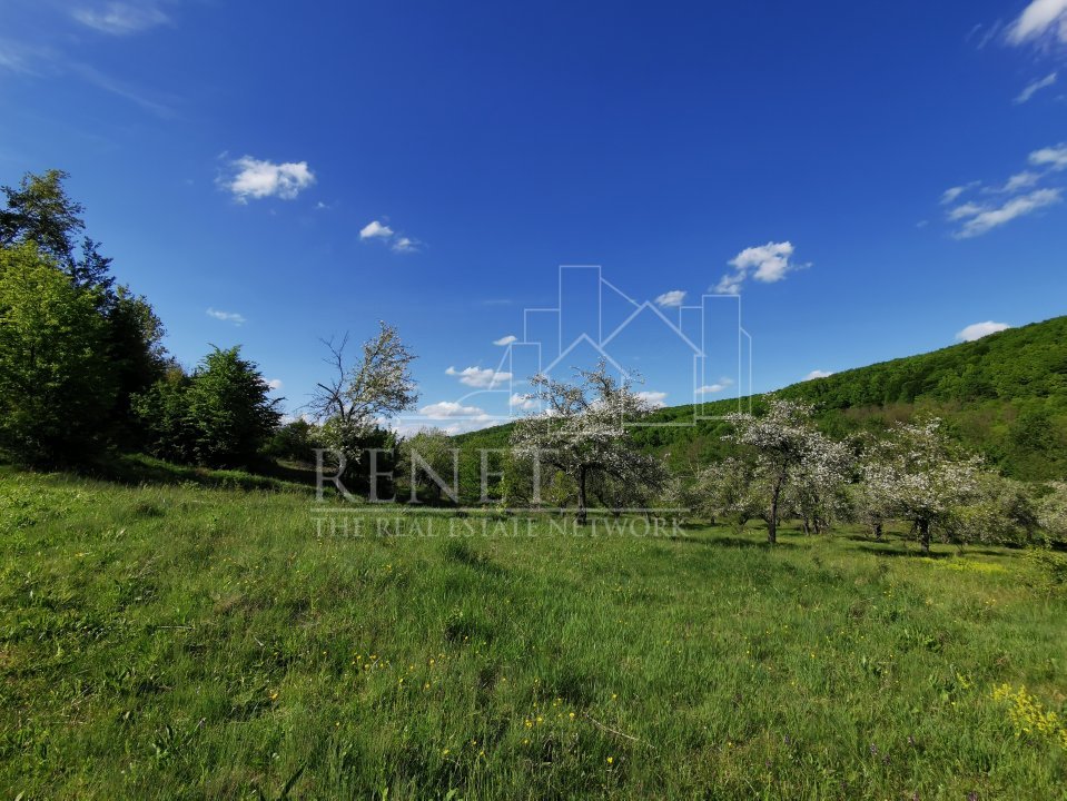 Teren de Vânzare, Budeasa Mica – Potrivit pentru Casă de Vacanță sau Investiție