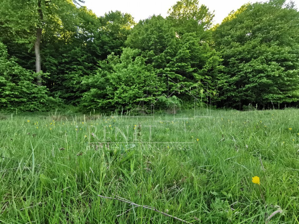 Oportunitate de Investiție - Teren de Basm in Bascov. DIRECT PROPRIETAR.