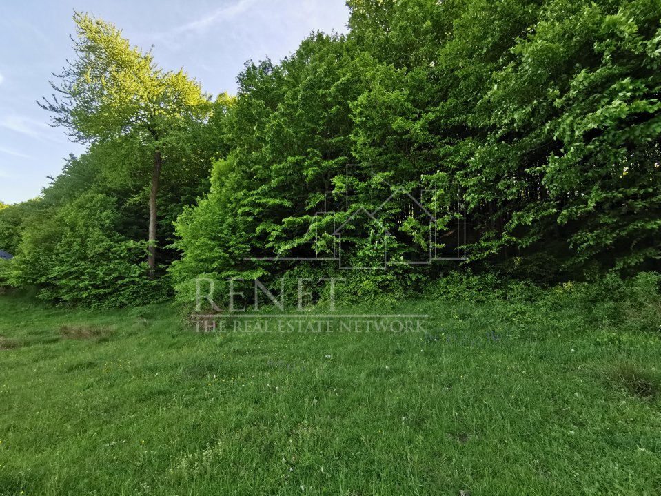 Oportunitate de Investiție - Teren de Basm in Bascov. DIRECT PROPRIETAR.