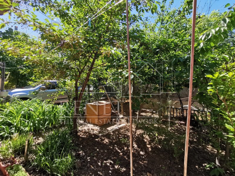 Casa Strada Muntii Carpati, 3 camere, curte proprie