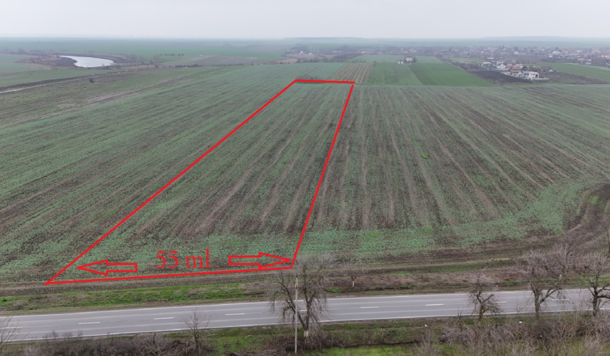 FRUMUSANI-POSTAVARI, 3 LOTURI-23.728 MP!