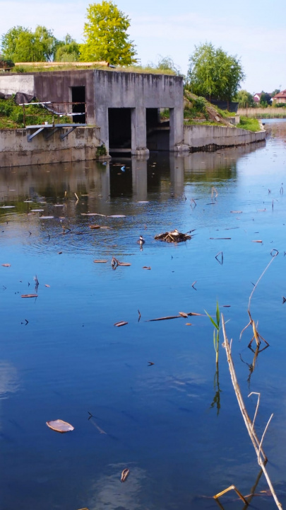 Super ocazie! Vilă de vânzare în Snagov, cu deschidere la lac