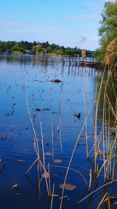 Super ocazie! Vilă de vânzare în Snagov, cu deschidere la lac