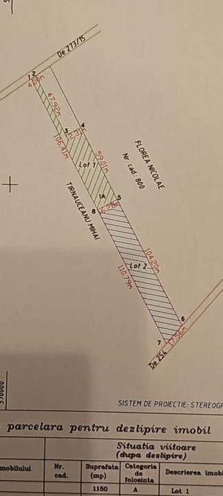 DOMNESTI-TEGHES LOT 1150 MP