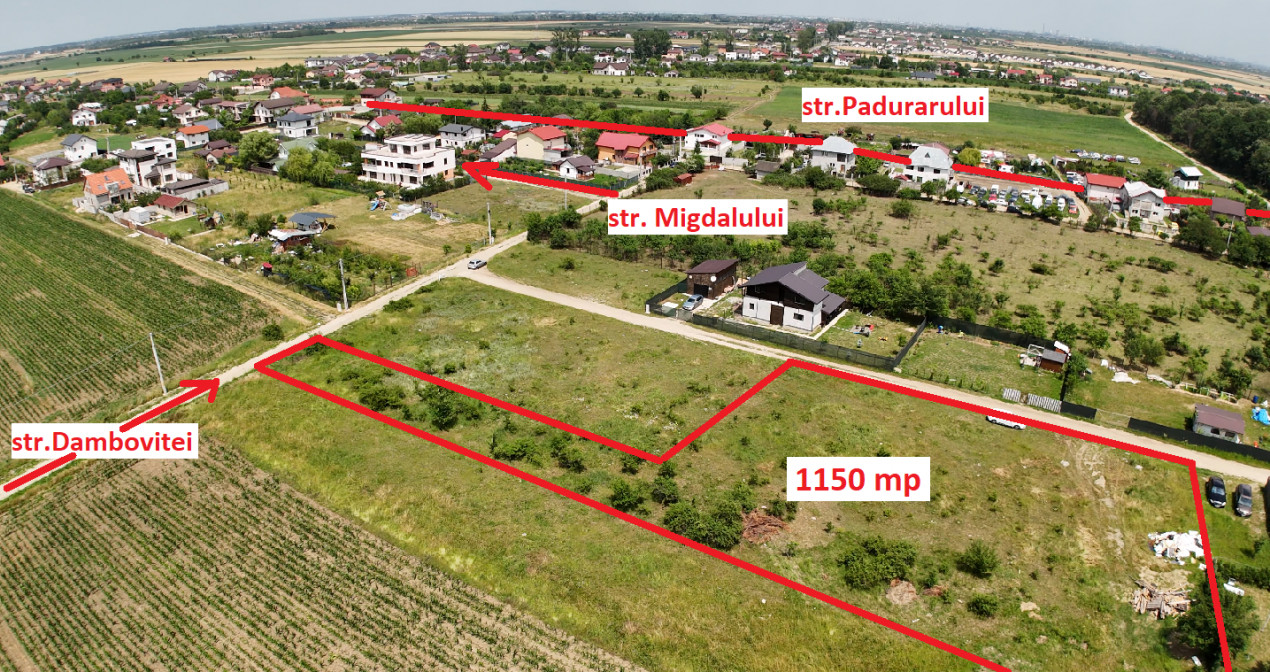 DOMNESTI-TEGHES LOT 1150 MP