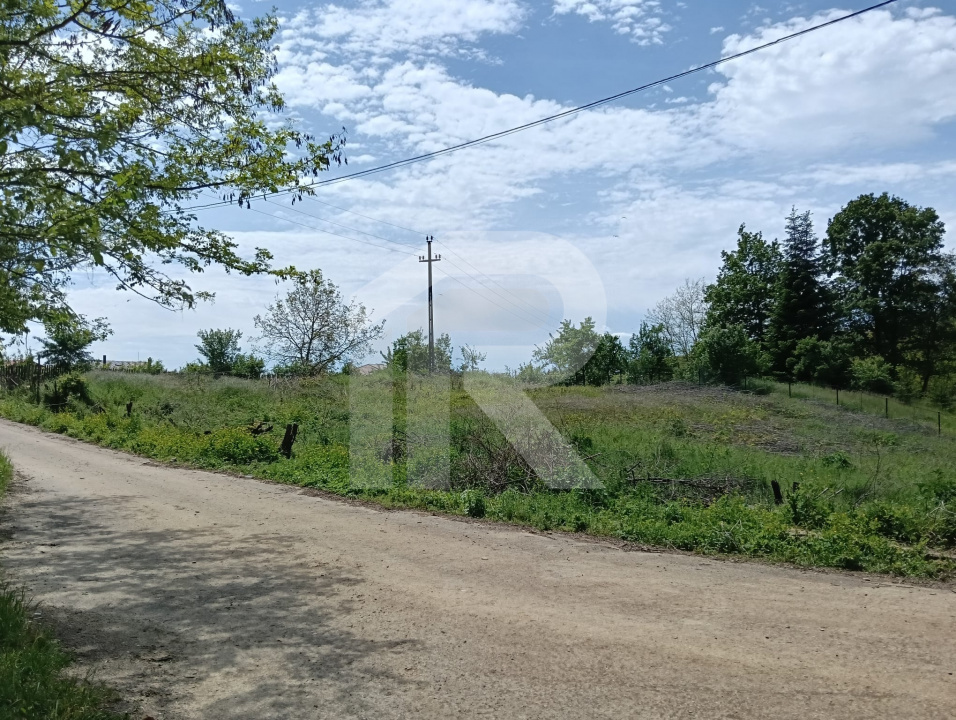 intravilan Tiparesti, relaxare aproape de padure