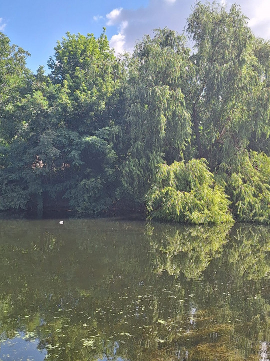 MEGA OCAZIE SE VINDE TEREN CU DESCHIDERE LA LACUL FUNDENI