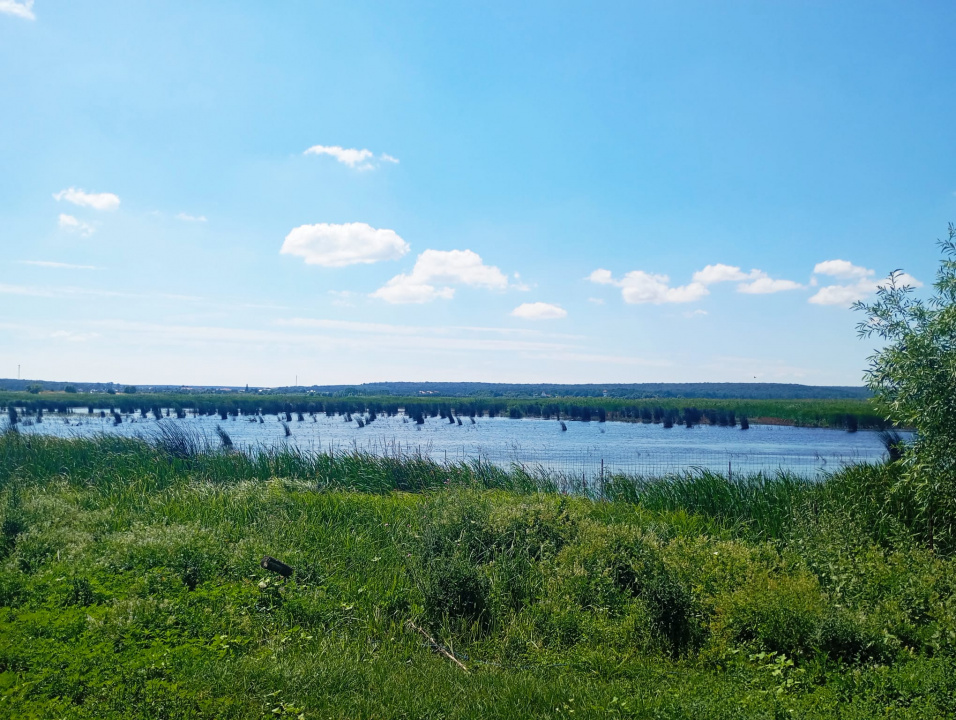 Vand teren intravilan 4000MP cu  dechidere la Delta Neajlovului, Comana GR