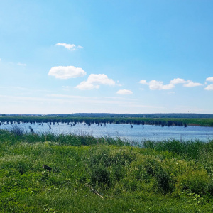Vand teren intravilan 4000MP cu  dechidere la Delta Neajlovului, Comana GR