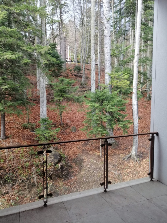 VAND PENTHOUSE 280 MP IN VILA + GARAJ LUX IN SINAIA PH COTA 1400