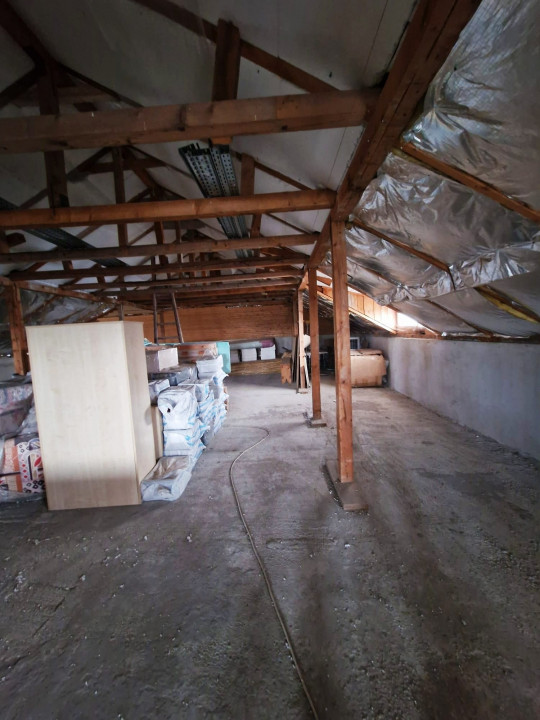 VIND VILA CU SPATIU INDUSTRIAL (retabil la orice activitate)  DASCALU IF 