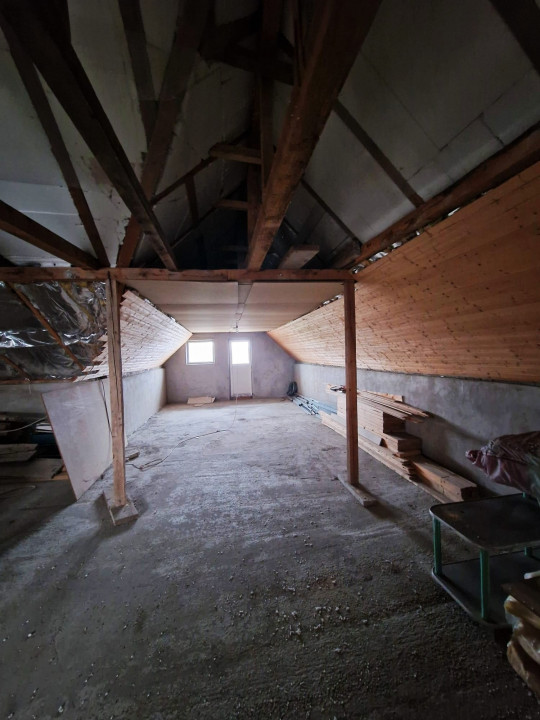 VIND VILA CU SPATIU INDUSTRIAL (retabil la orice activitate)  DASCALU IF 