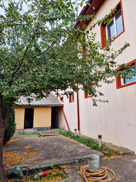 VIND VILA CU SPATIU INDUSTRIAL (retabil la orice activitate)  DASCALU IF 