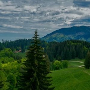 SUPERB Teren  intravilan de 2350mp  in Poiana Mica Brasov