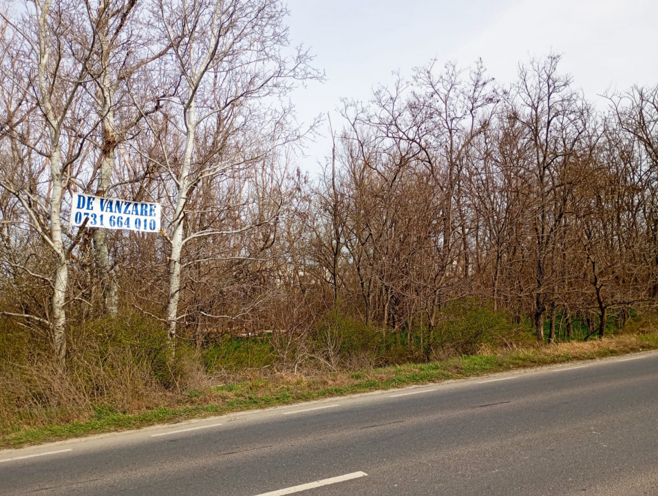 Teren intravilan 5.000 m² cu 40 m deschidere la DN2A – lângă Kaufland Slobozia