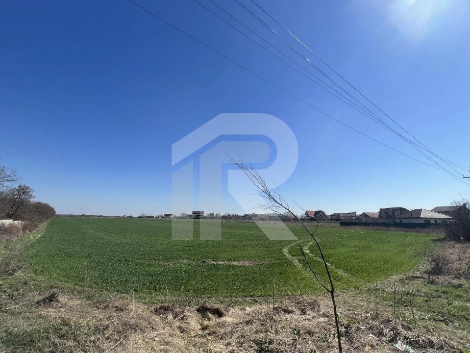 Gruiu_Lipia_Teren Intravilan langa padure