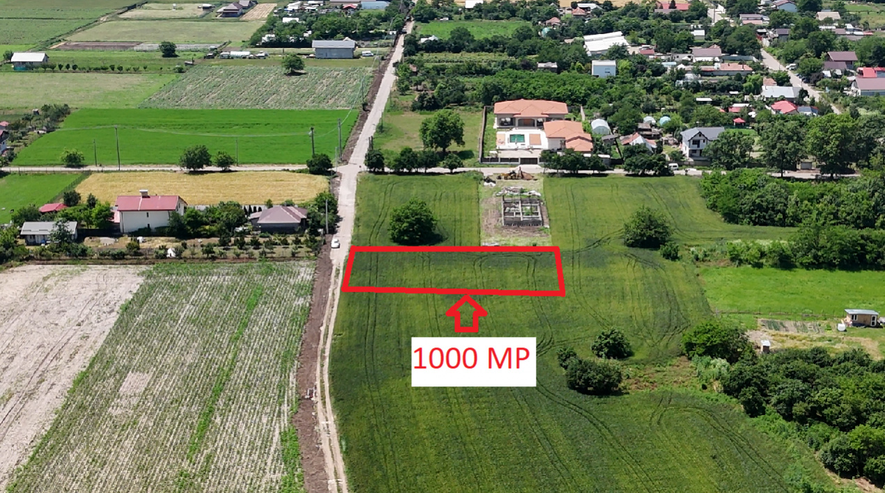 DASCALU-CREATA, LOT 1.000 MP!