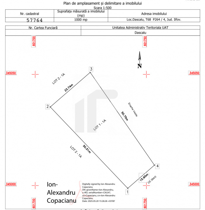 DASCALU-CREATA Lot 1000 MP