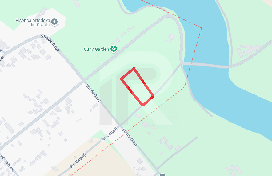 DASCALU-CREATA Lot 1000 MP