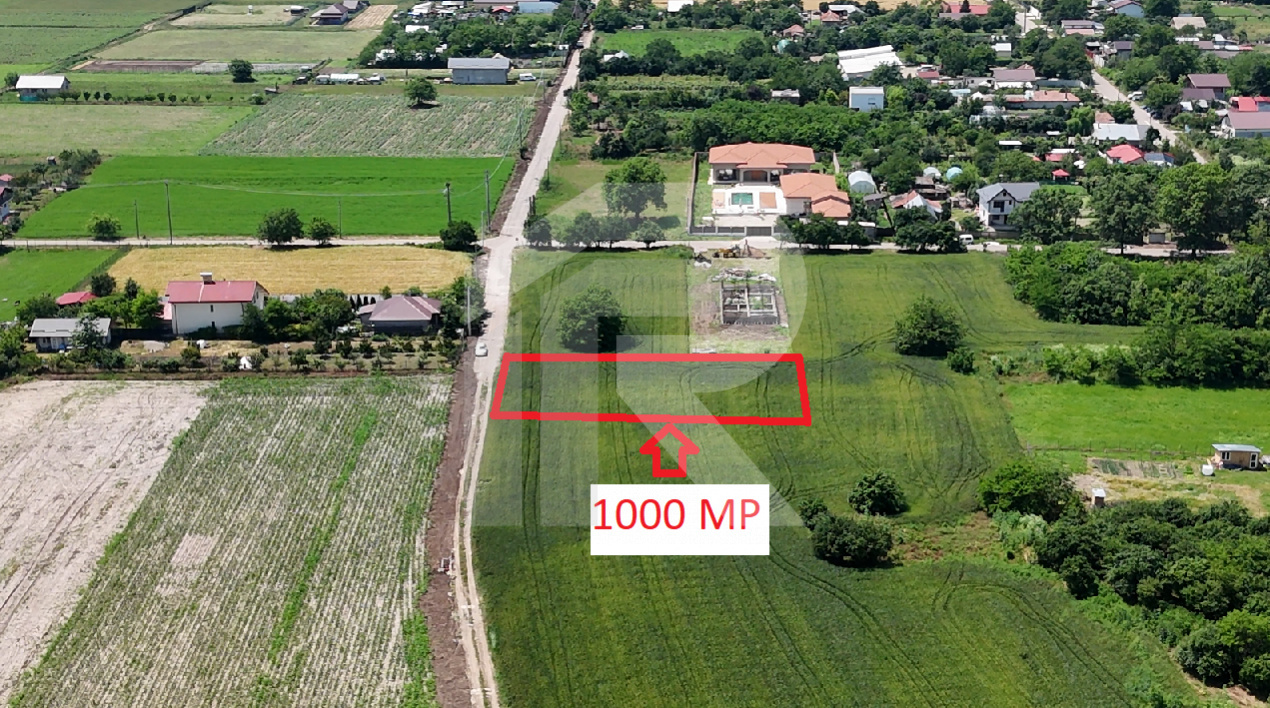 DASCALU-CREATA Lot 1000 MP