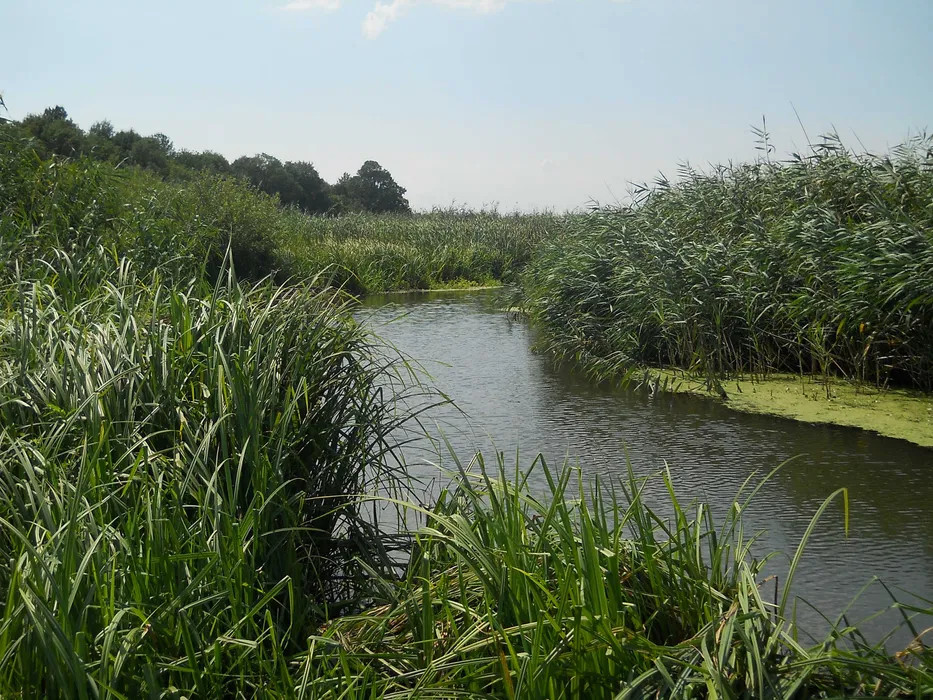 Vând loturi de 527 si 635 mp lângă Delta Neajlovului la cel mai bun preț 