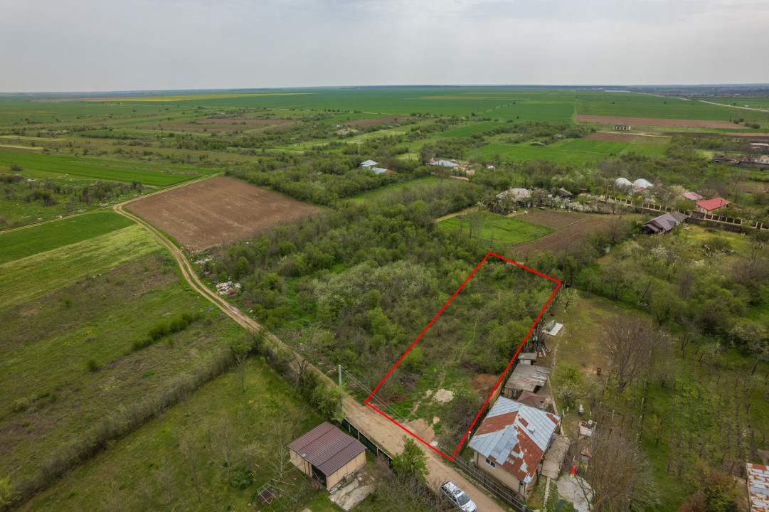 LETCA NOUA, TEREN CONSTRUCTII 1184 MP, FRONT 21 M !