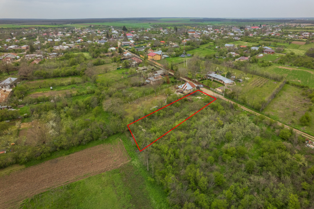 LETCA NOUA, TEREN CONSTRUCTII 1184 MP, FRONT 21 M !