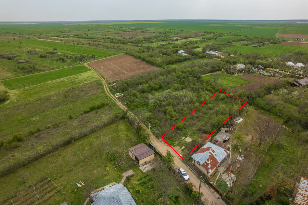 LETCA NOUA, TEREN CONSTRUCTII 1184 MP, FRONT 21 M !