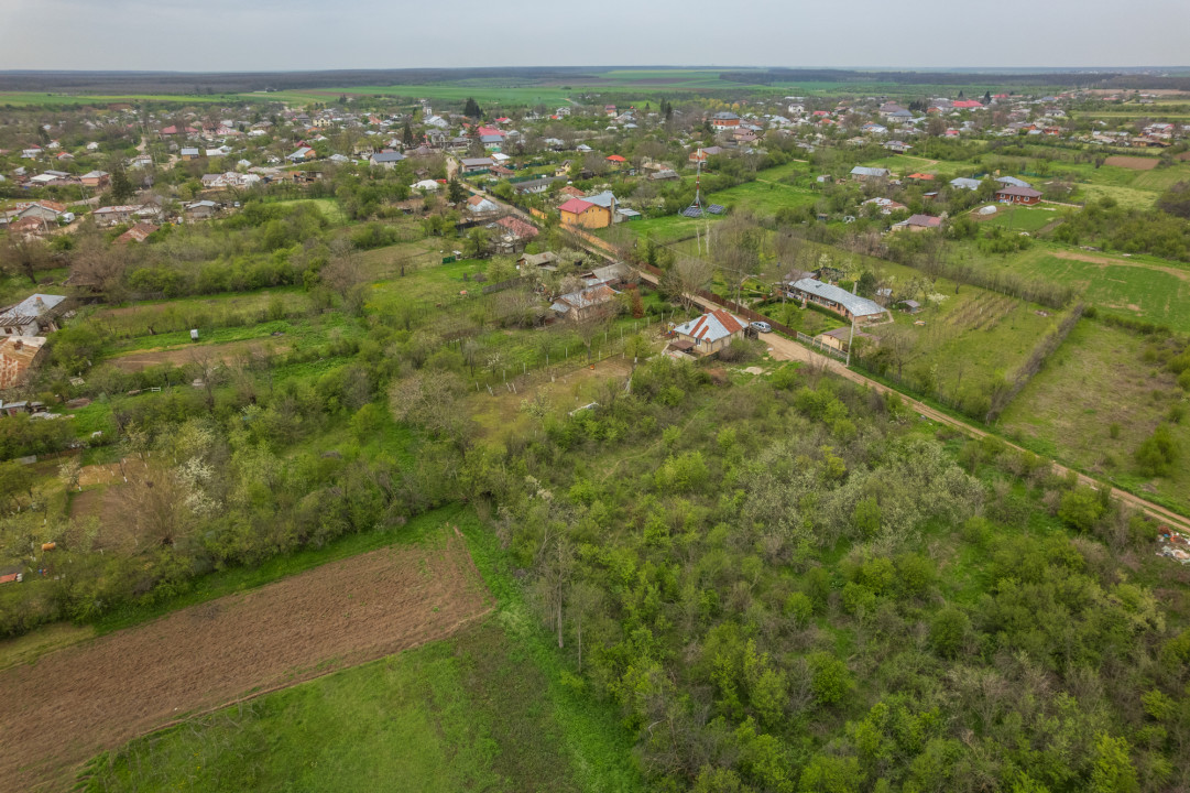 LETCA NOUA, TEREN CONSTRUCTII 1184 MP, FRONT 21 M !