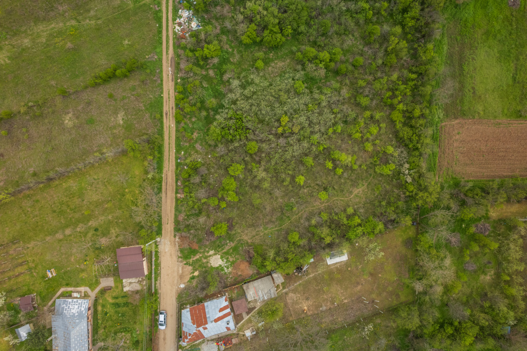 LETCA NOUA, TEREN CONSTRUCTII 1184 MP, FRONT 21 M !