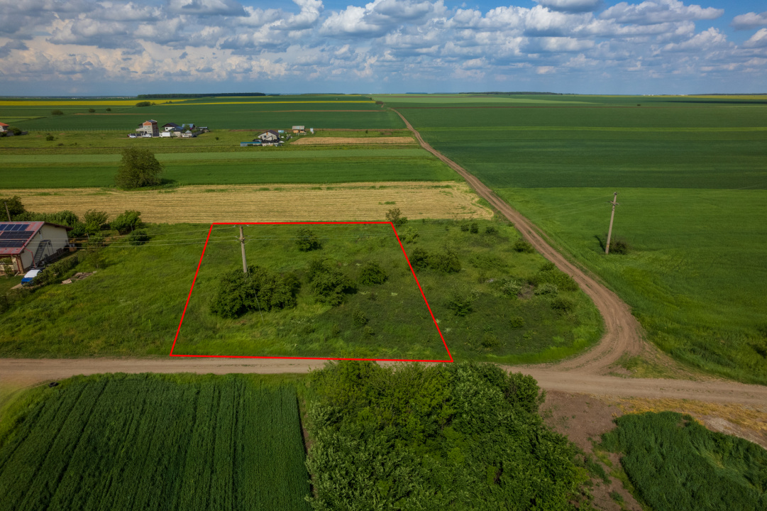 FRUMUSANI - POSTAVARI, TEREN 1500 MP, FRONT 30 M !