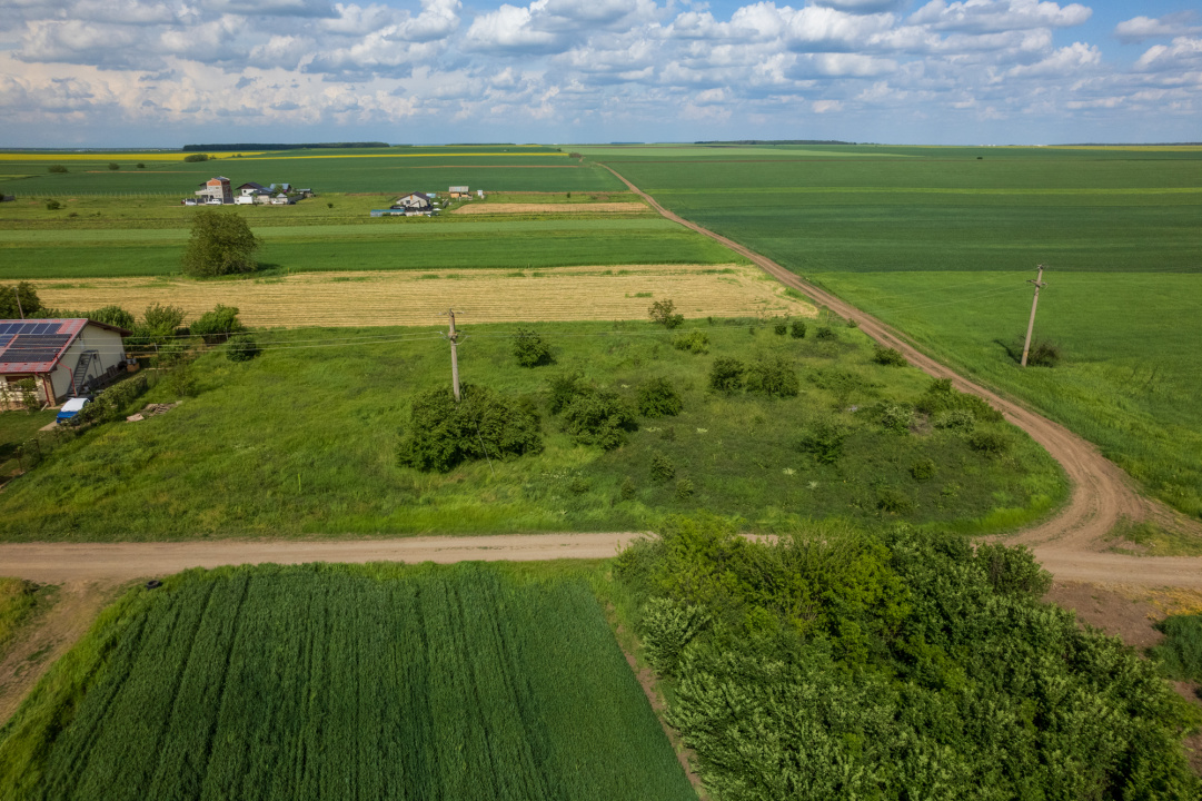 FRUMUSANI - POSTAVARI, TEREN 1500 MP, FRONT 30 M !