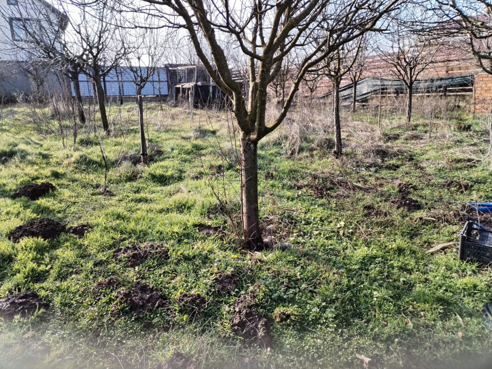 Teren intravilan 609 mp Vidra, deschidere 24 m, ideal pentru construcție