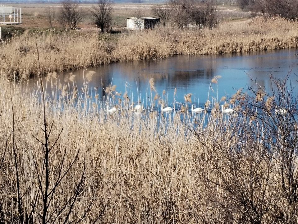 Teren intravilan 609 mp Vidra, deschidere 24 m, ideal pentru construcție