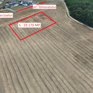 DASCALU Lot 19.170 MP