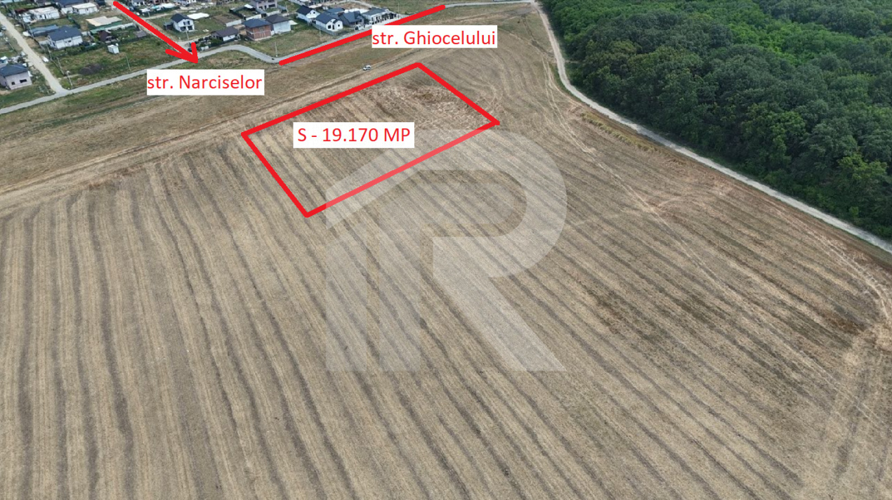 DASCALU Lot 19.170 MP