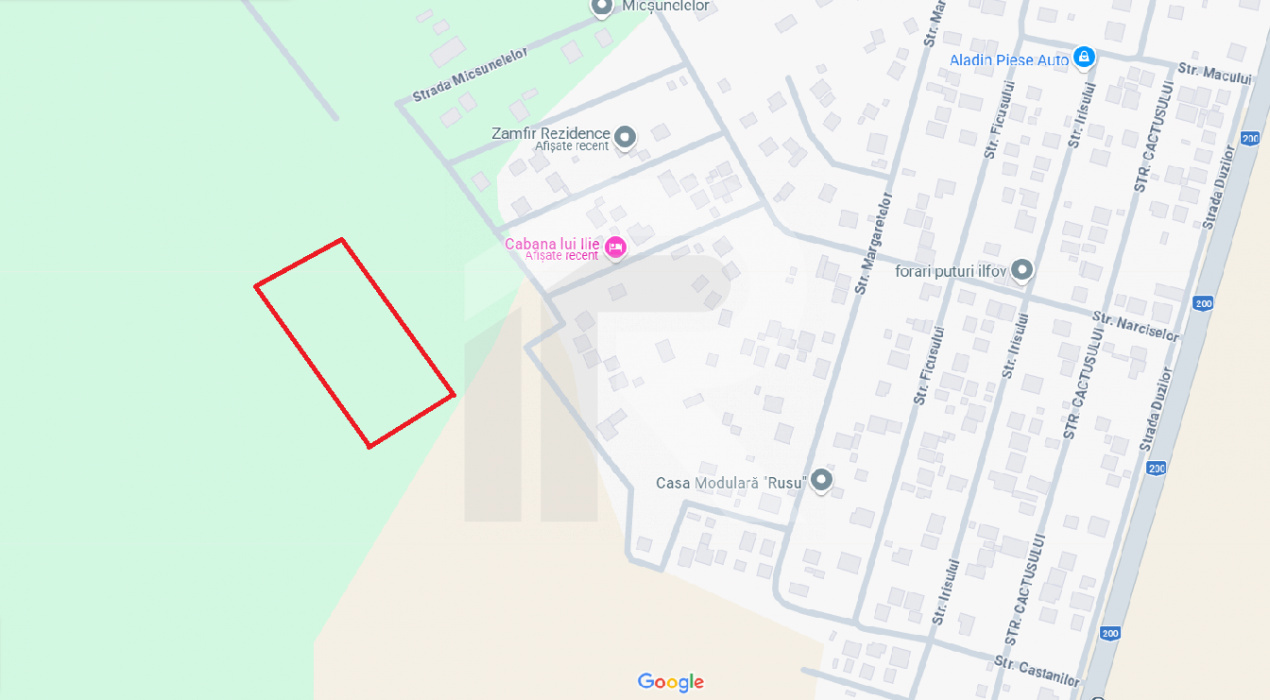 DASCALU Lot 19.170 MP