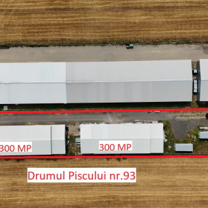 CIOLPANI Lot 5.000 MP