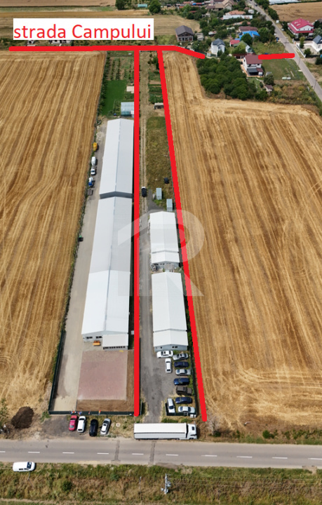 CIOLPANI Lot 5.000 MP