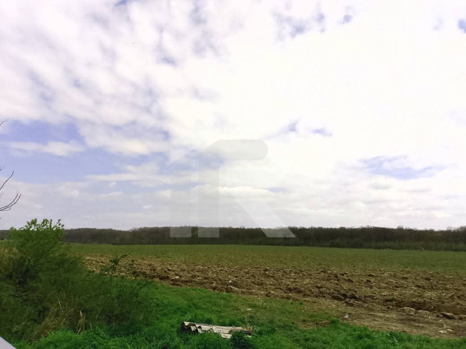 Com GRUIU_Reprezentare exclusiva_TEREN  EXTRAVILAN LANGA PADURE