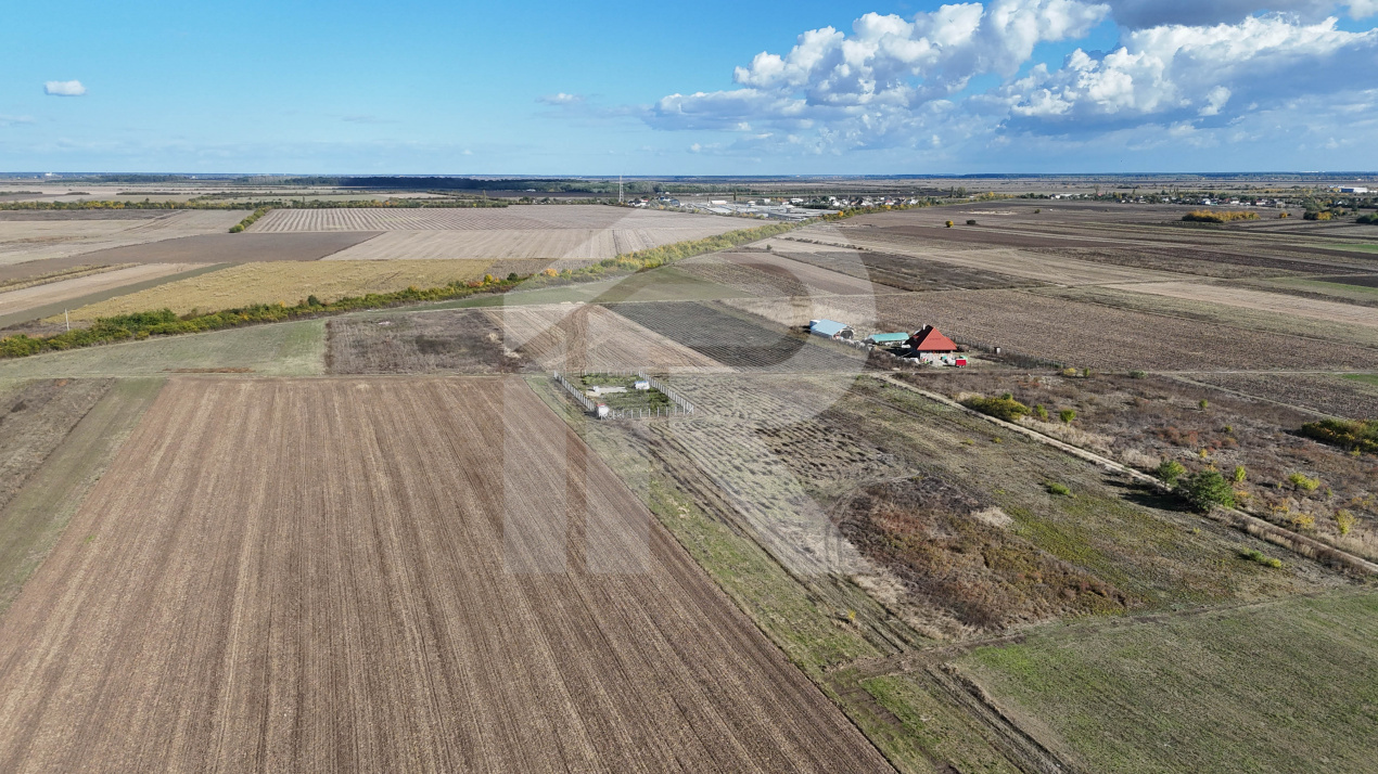 Refugiu la marginea padurii — 2822 mp de liniste in Cocani.