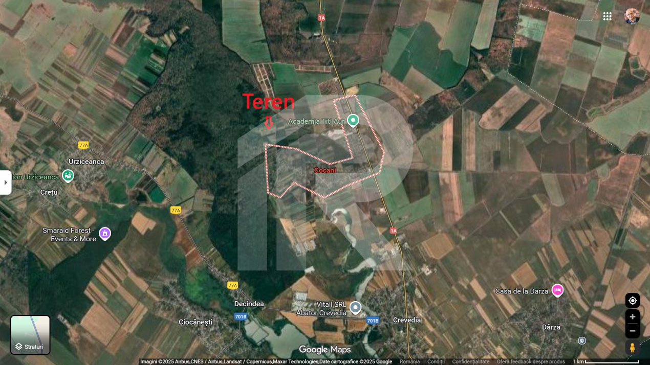 Refugiu la marginea padurii — 1000 mp de liniste in Cocani.