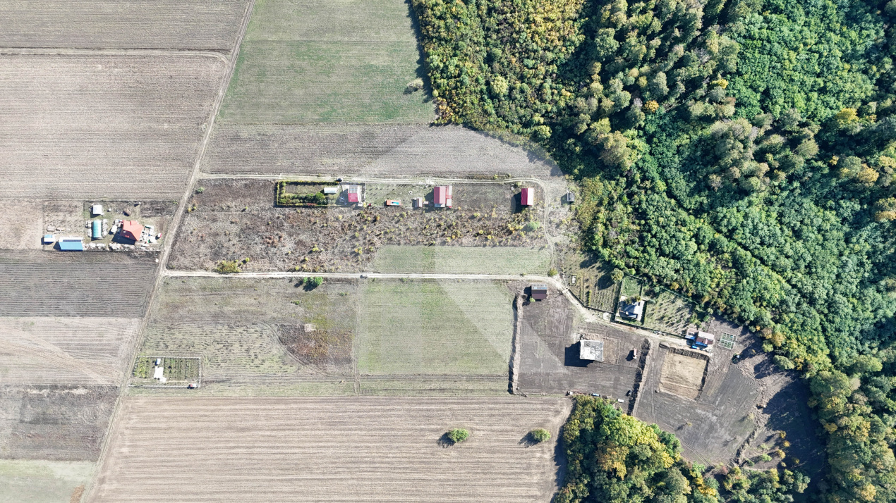 Refugiu la marginea padurii — 1000 mp de liniste in Cocani.