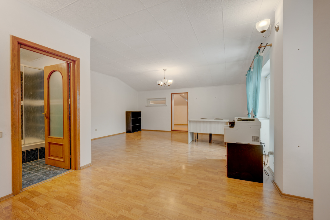 Vila de vanzare Domenii-Ion Mihalache