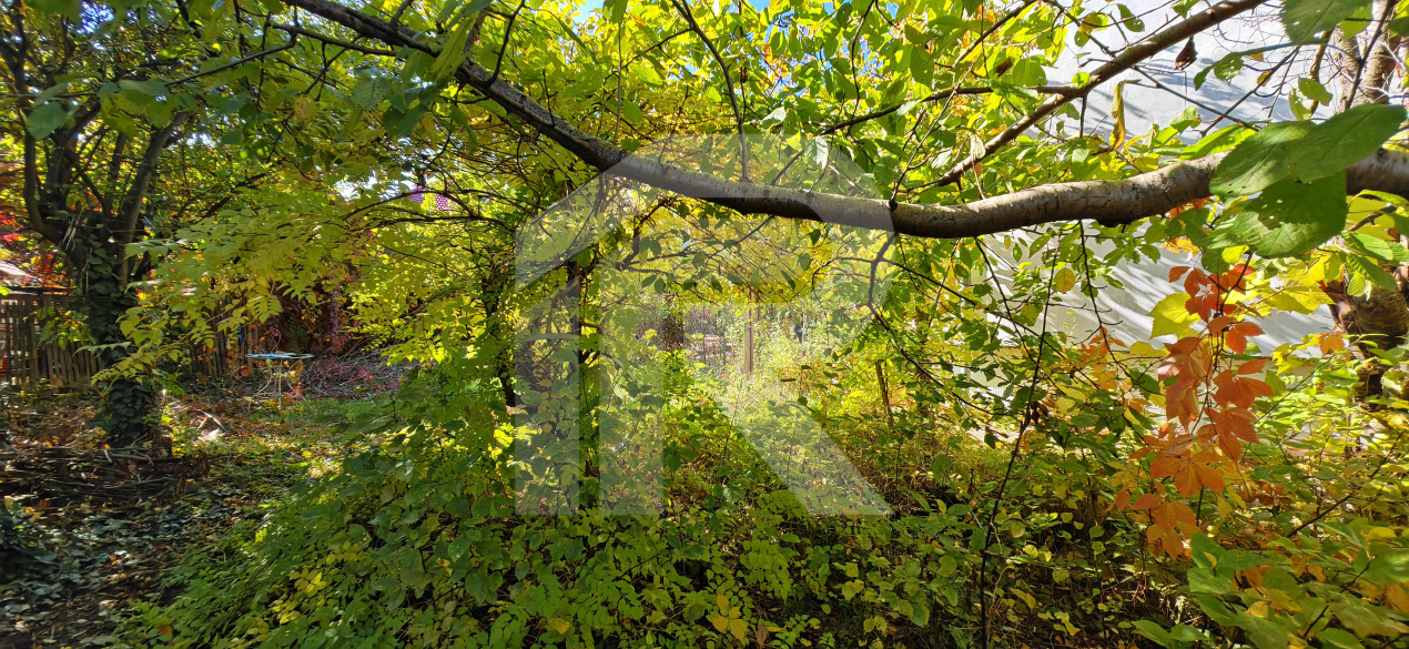 Vila Gabriela Otopeni