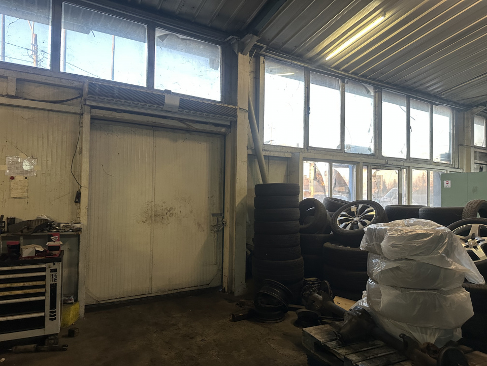 VOLUNTARI, HALA 250 MP!