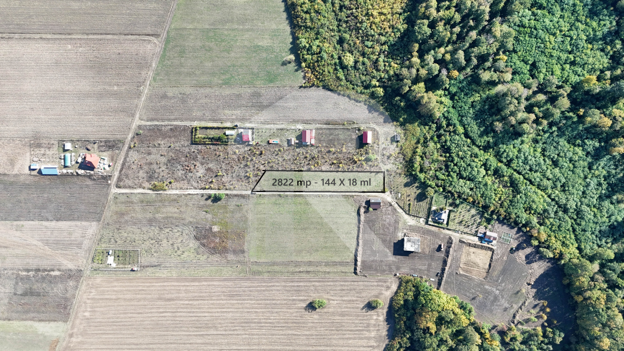 Refugiu la marginea padurii — 2822 mp de liniste in Cocani.