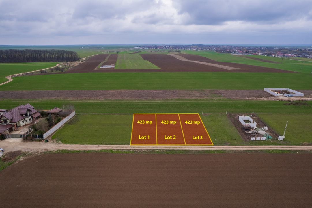 FRUMUSANI - VIOLETELOR, TEREN 423 MP, FRONT 14 M!