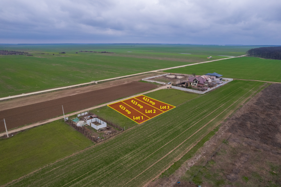 FRUMUSANI - VIOLETELOR, TEREN 423 MP, FRONT 14 M!