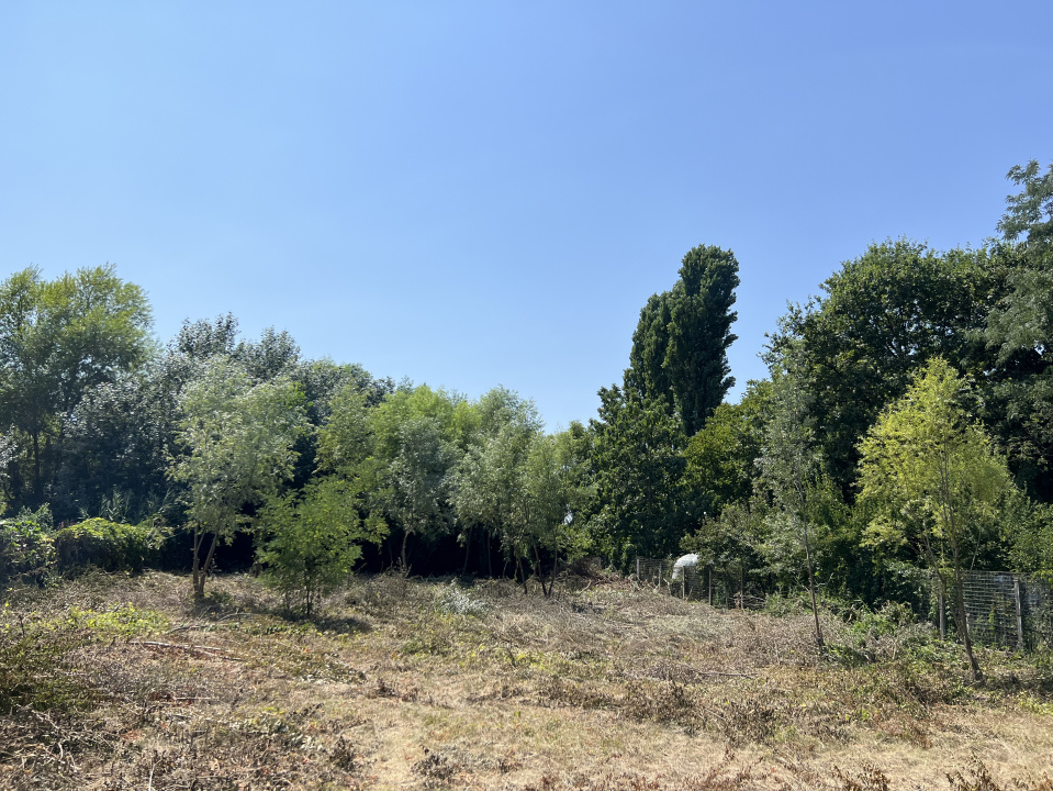 Teren cu deschidere la Lac Snagov. 